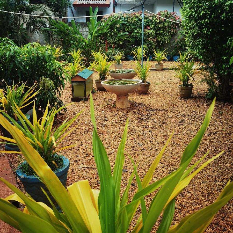 City Paradise Dambulla Εξωτερικό φωτογραφία