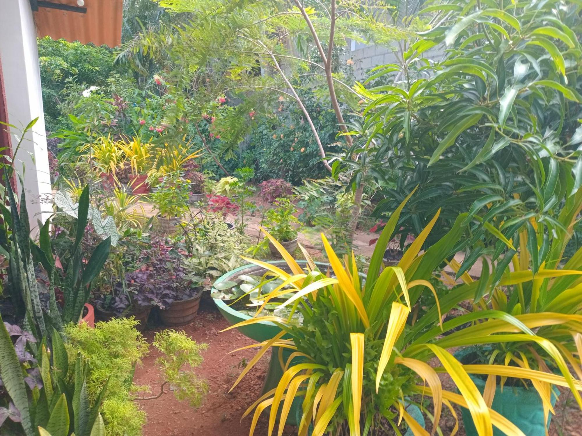 City Paradise Dambulla Εξωτερικό φωτογραφία