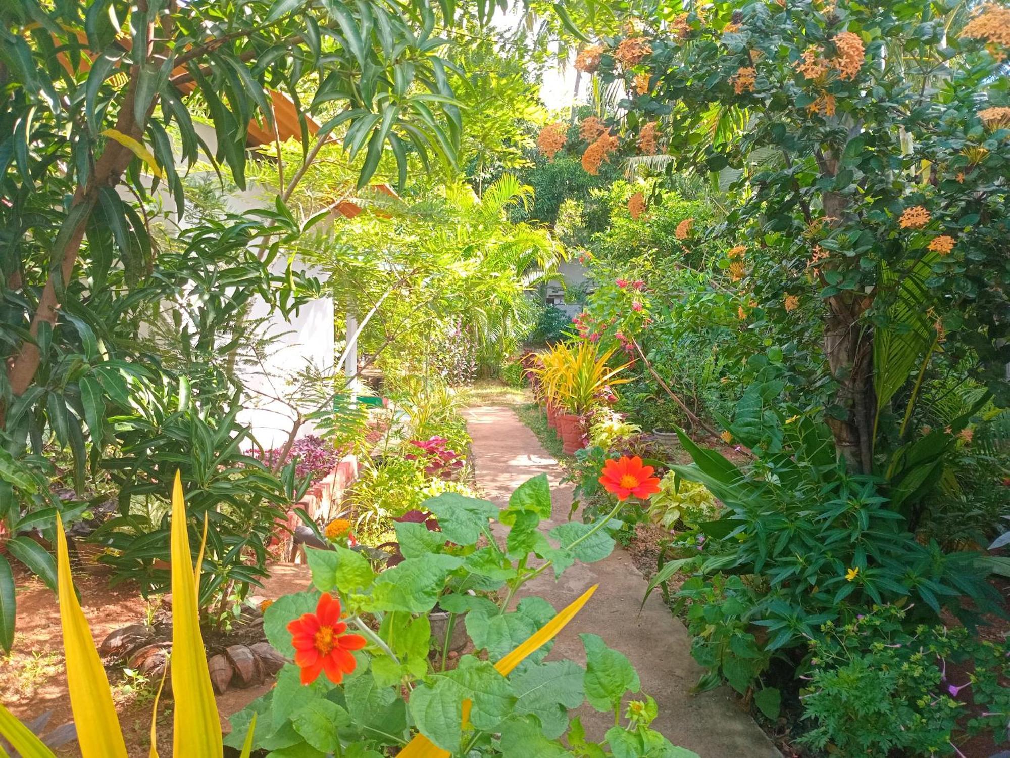 City Paradise Dambulla Εξωτερικό φωτογραφία